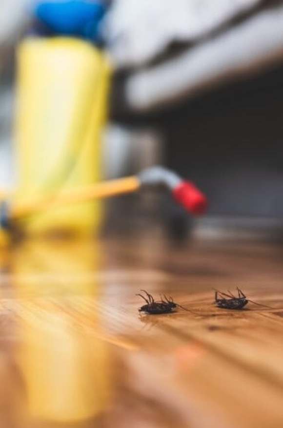 Desinfección de bacterias y virus en Barcelona