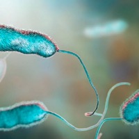 Tratamientos de Legionella