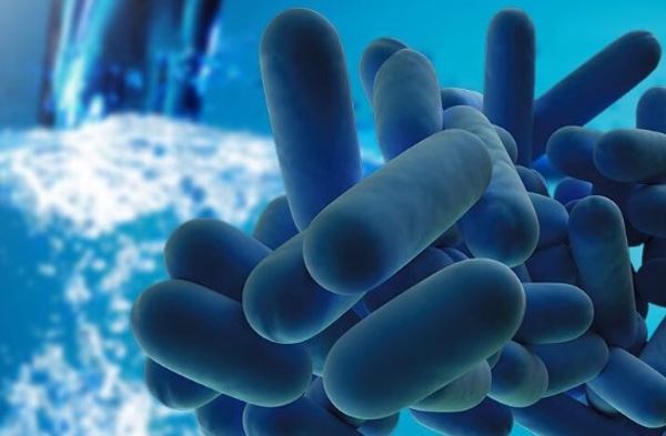 Tratamiento de Legionella en Viladecans: Especialistas en Control y Prevención Integral